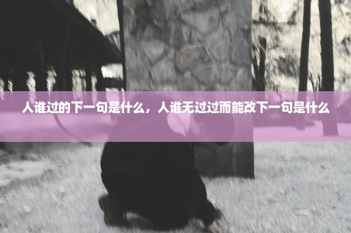 人谁过的下一句是什么，人谁无过过而能改下一句是什么 