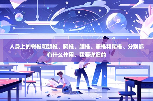 人身上的脊椎和颈椎、胸椎、腰椎、骶椎和尾椎、分别都有什么作用、我要详细的