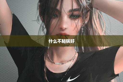 什么不粘锅好