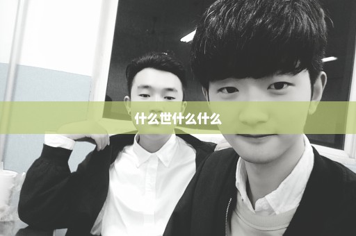 什么世什么什么