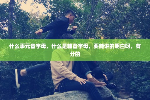 什么事元音字母，什么是辅音字母，要能讲的明白呀，有分的