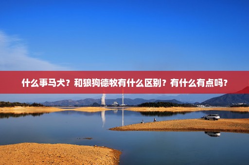 什么事马犬？和狼狗德牧有什么区别？有什么有点吗？