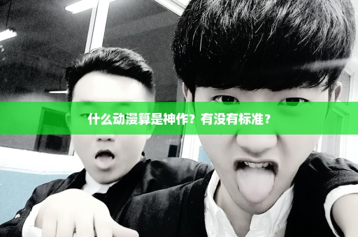 什么动漫算是神作？有没有标准？