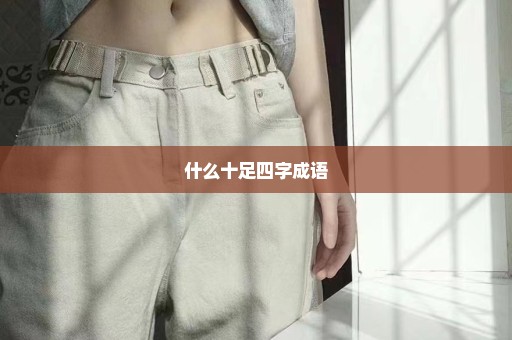 什么十足四字成语
