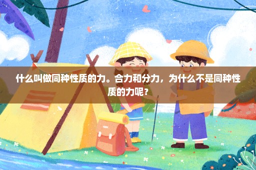 什么叫做同种性质的力。合力和分力，为什么不是同种性质的力呢？