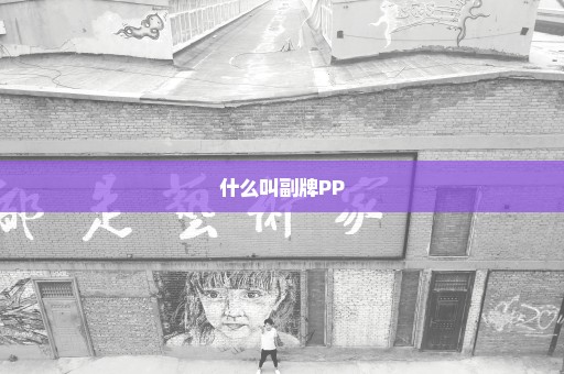 什么叫副牌PP