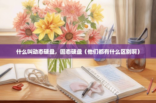 什么叫动态硬盘，固态硬盘（他们都有什么区别啊）