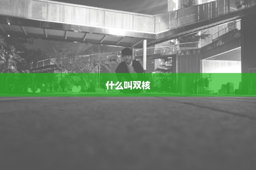 什么叫双核