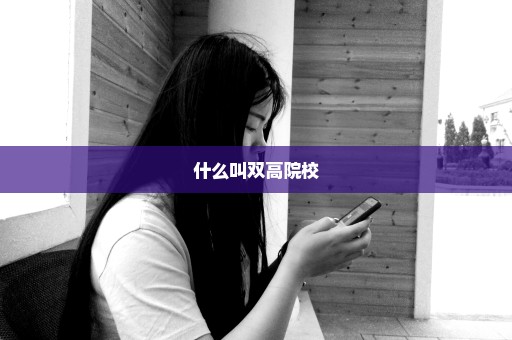 什么叫双高院校
