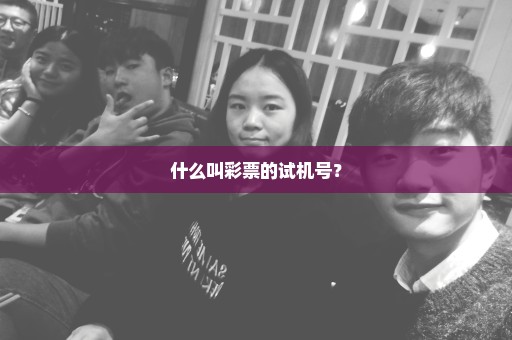 什么叫彩票的试机号？