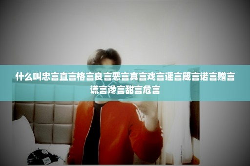 什么叫忠言直言格言良言恶言真言戏言谣言箴言诺言赠言谎言谗言甜言危言