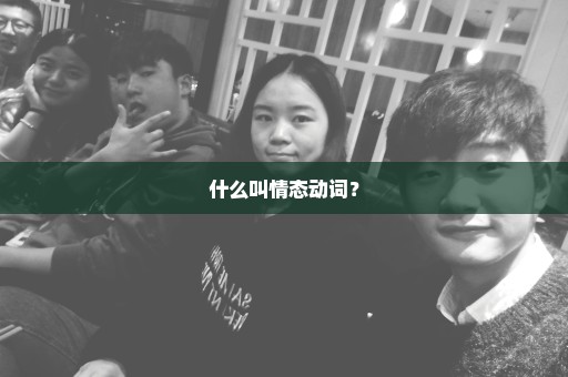 什么叫情态动词？