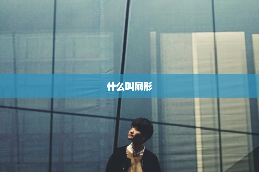什么叫扇形