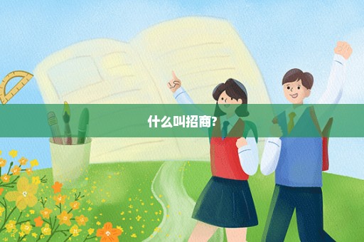 什么叫招商?