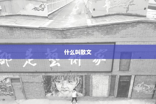 什么叫散文
