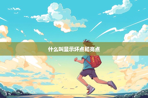 什么叫显示坏点和亮点