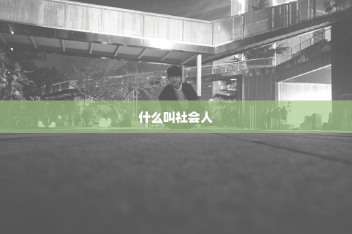什么叫社会人