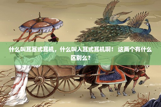 什么叫耳塞式耳机，什么叫入耳式耳机啊！ 这两个有什么区别么？