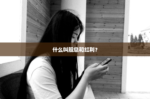什么叫股息和红利？