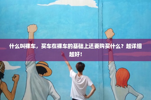 什么叫裸车，买车在裸车的基础上还要购买什么？越详细越好！