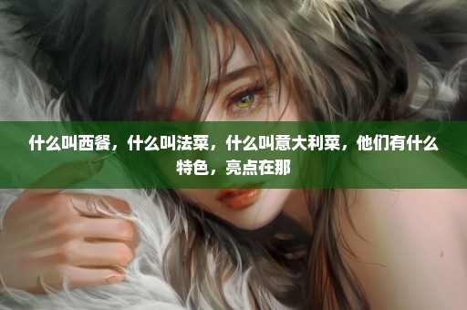 什么叫西餐，什么叫法菜，什么叫意大利菜，他们有什么特色，亮点在那