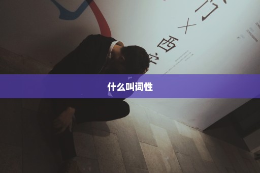 什么叫词性
