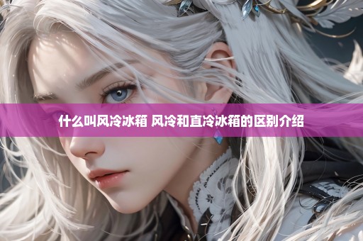 什么叫风冷冰箱 风冷和直冷冰箱的区别介绍
