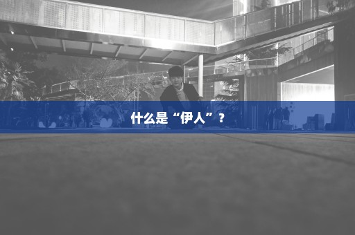 什么是“伊人”？