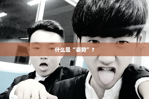 什么是“姿势”？