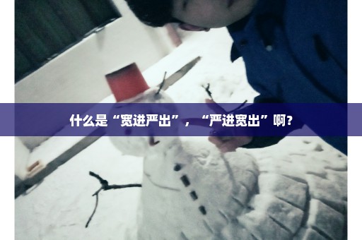 什么是“宽进严出”，“严进宽出”啊？
