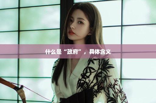 什么是“政府”，具体含义