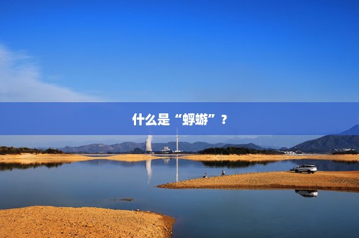 什么是“蜉蝣”？