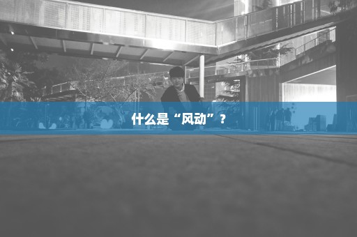 什么是“风动”？
