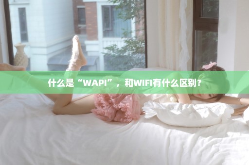 什么是“WAPI”，和WIFI有什么区别？