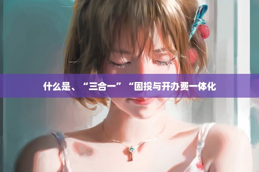 什么是、“三合一”“固投与开办费一体化