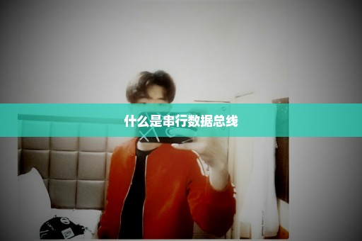 什么是串行数据总线