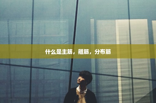 什么是主筋，箍筋，分布筋