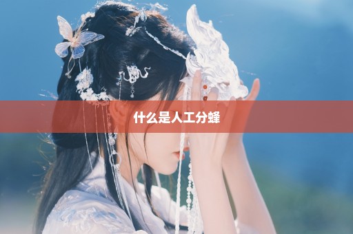 什么是人工分蜂