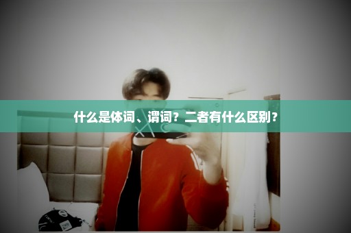什么是体词、谓词？二者有什么区别？