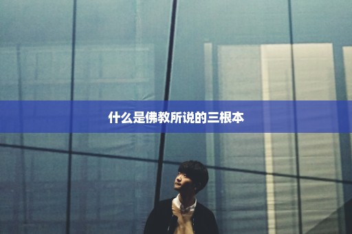 什么是佛教所说的三根本