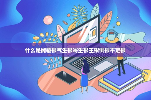 什么是储藏根气生根寄生根主根侧根不定根