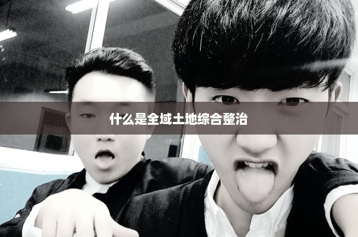 什么是全域土地综合整治