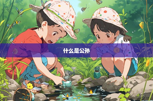 什么是公孙