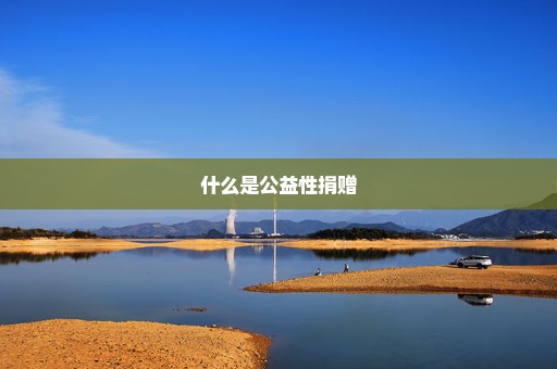 什么是公益性捐赠