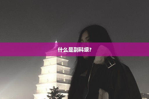 什么是副科级?