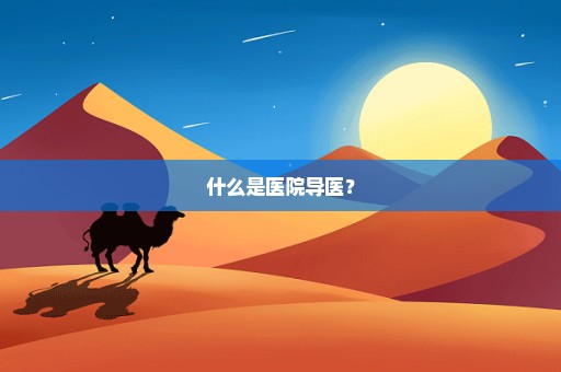 什么是医院导医？