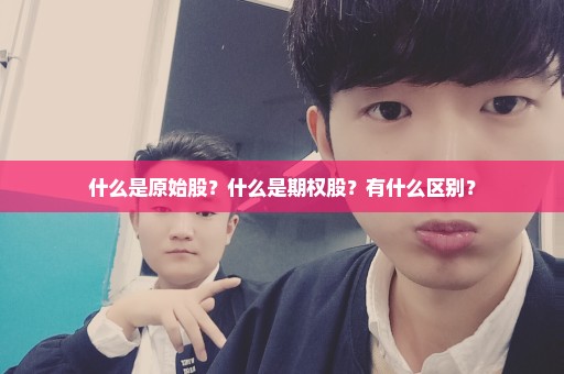 什么是原始股？什么是期权股？有什么区别？