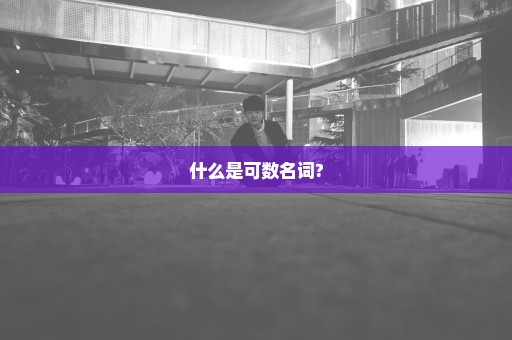 什么是可数名词?