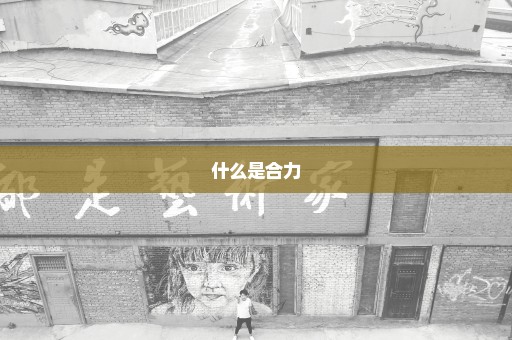什么是合力