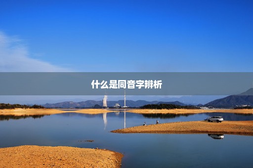 什么是同音字辨析